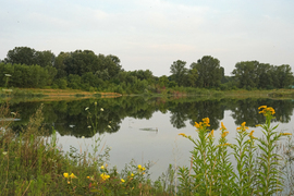 zsuzsafoto fotója