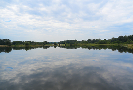 zsuzsafoto fotója