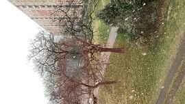 Budapest XV.ker - Pestújhely