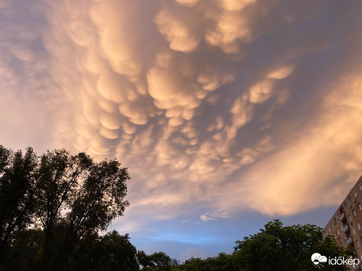 Budapest XV.ker - Pestújhely