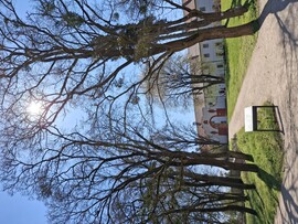 Oroszlány