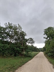 Vértessomló
