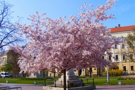 Debrecen, 2017. április