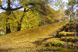 Debrecen, Nagyerdő