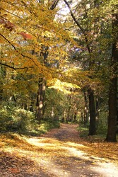 Debrecen, Nagyerdő