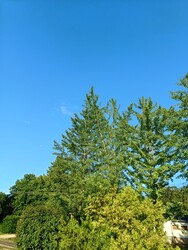 Abaliget
