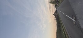Szabadka